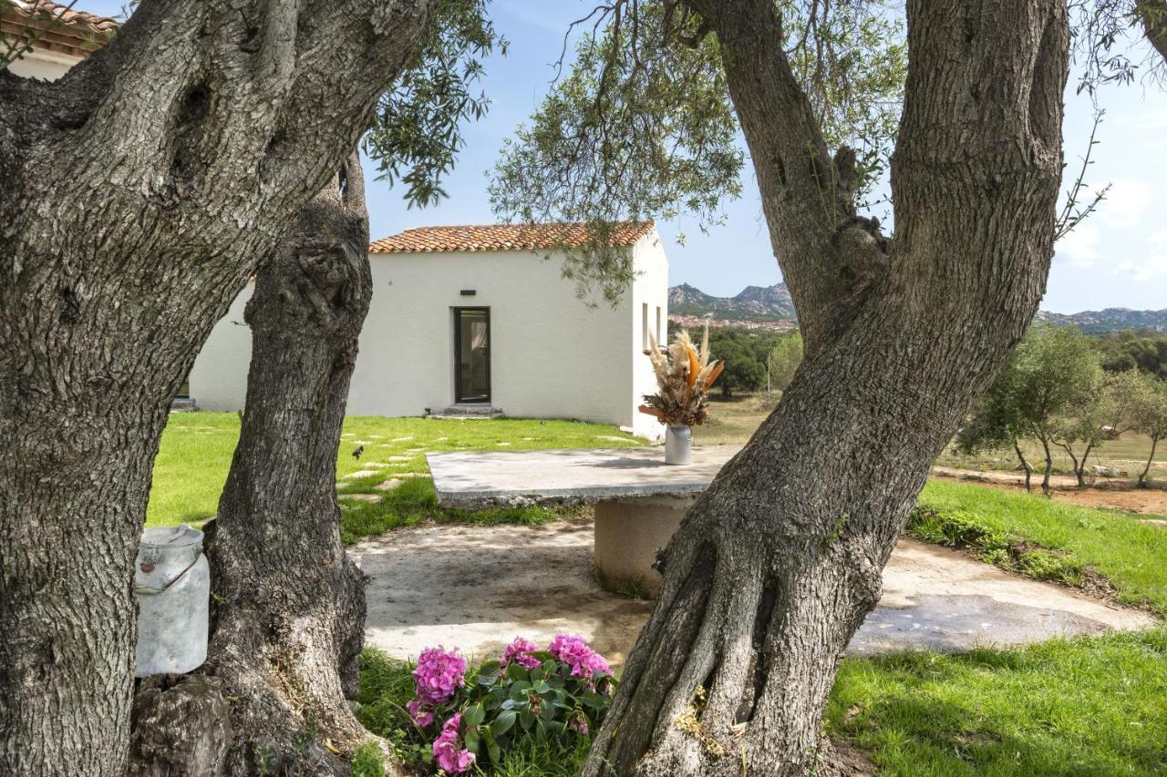 Uddastri Retreat Arzachena Ngoại thất bức ảnh