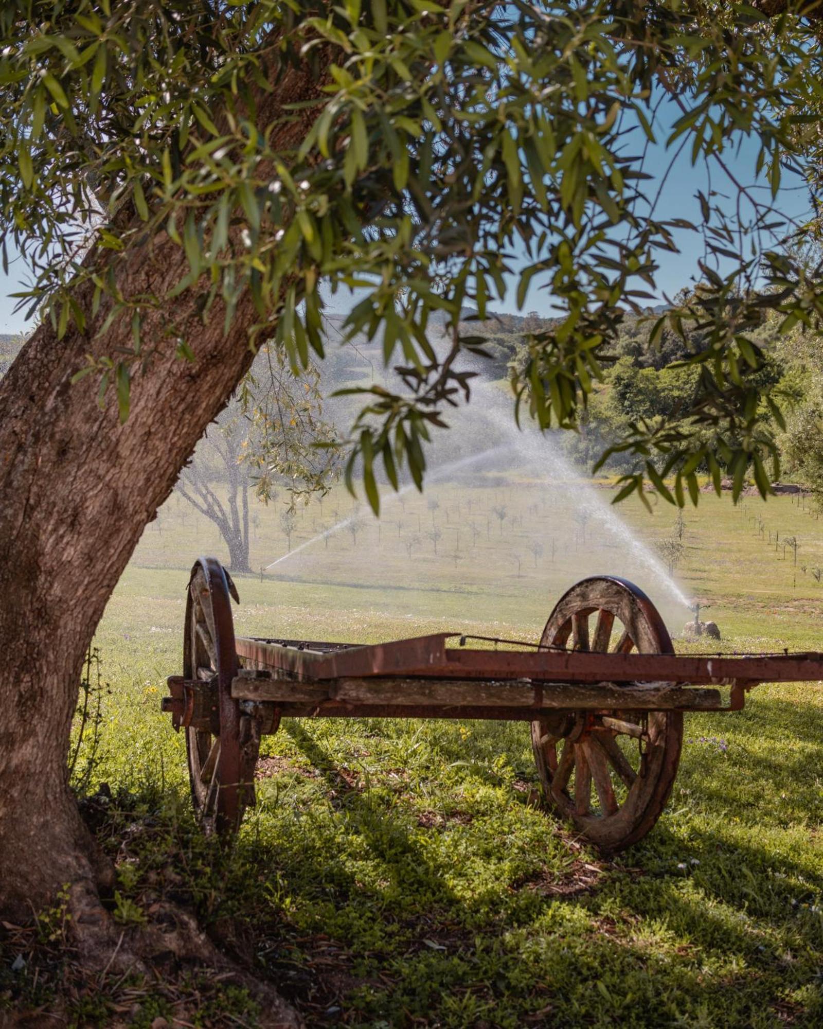 Uddastri Retreat Arzachena Ngoại thất bức ảnh